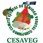 Cesaveg