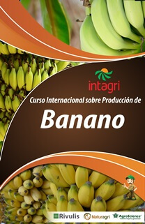 Curso Virtual sobre Producción de Banano