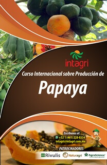 Curso Virtual sobre Producción de Papaya