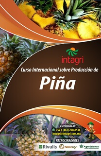 Curso Virtual sobre Producción de Piña