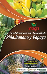 Curso Virtual: Curso Internacional sobre Producción de Piña, Banano y Papaya