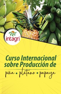 Curso Internacional sobre Producción de Piña, Plátano y Papaya Online