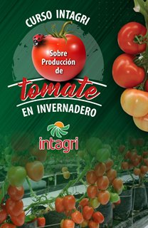 Curso Intagri Virtual: Producción de Tomate en Invernadero