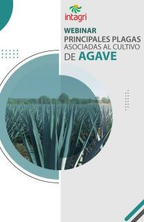 Webinar sobre Principales plagas asociadas al cultivo de agave