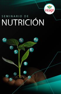 Seminario de Nutrición