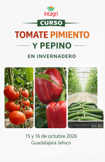 Curso INTAGRI Producción de Hortalizas Bajo Cubierta Tomate, Pepino y Pimiento