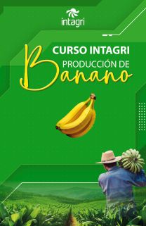 Curso INTAGRI en Producción de Banano Online