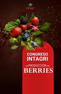 Curso presencial: Congreso Intagri en Producción de Berries