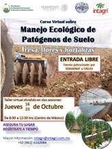 Curso virtual: Manejo Ecológico de Patógenos de Suelo