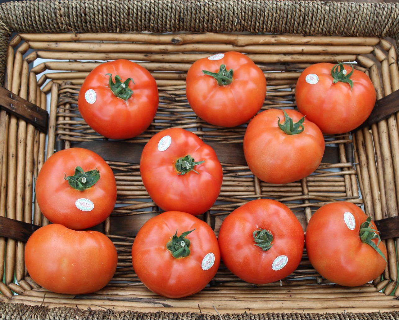 Precio del Tomate y Otras Hortalizas se Disparan Por Heladas