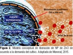 La Nanotecnología en la Nutrición Vegetal