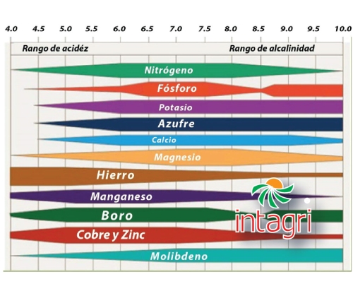 Manejo y Corrección de la Acidez de los Suelos 