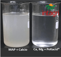 Cómo aprovechar al máximo los nutrientes en condiciones de alcalinidad del agua y suelo