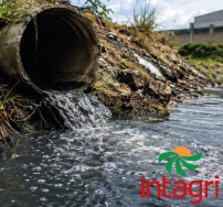 La Contaminación del Agua