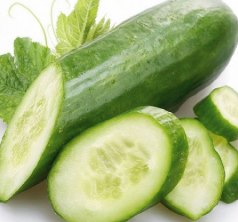 Rendimiento y Calidad de 7 Variedades de Pepino Europeo (Cucumis  sativus L.) en Hidroponia, bajo Malla e Invernadero