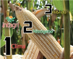 Las 7 Maravillas del Alto Rendimiento en Maíz,Parte I: Clima, Nitrógeno e Híbrido