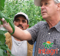 El ABC de las Ventas Agrícolas