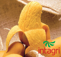 Uso de Reguladores de Crecimiento en Cultivo de Mango