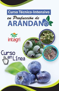 Seminario Virtual: Cultivo de Arándano (Blueberry)