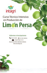 Seminario en Producción de Limón Persa