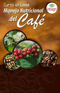 Curso virtual sobre Manejo Nutricional del Café