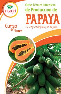 Curso Técnico-Intensivo de Producción de Papaya