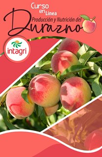 Curso Online sobre Producción y Nutrición del Durazno