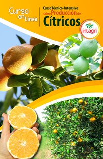 Curso Técnico-Intensivo en Producción de Cítricos