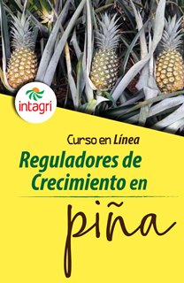 Curso Online sobre Reguladores de Crecimiento en Piña