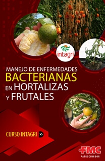 Manejo de Enfermedades Bacterianas en Hortalizas y Frutales