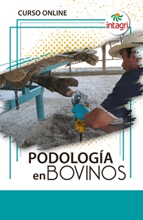 Curso de Podología en Bovinos