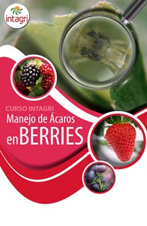 Curso INTAGRI sobre Manejo de Ácaros en Berries