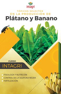 Curso Virtual Tópicos Selectos en la Producción de Plátano y Banano