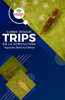 Curso virtual: Manejo integrado de trips en aguacate, berries y cítricos