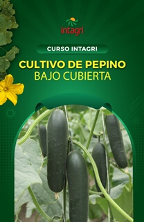 Seminario INTAGRI Virtual: Cultivo de Pepino Bajo Cubierta