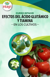 Webinar Gratuito: Efectos del ácido glutámico y tiamina en los cultivos