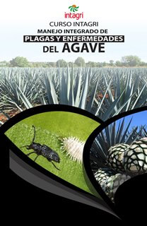 Curso Virtual: Manejo Integrado de Plagas y Enfermedades del Agave