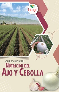 Curso Virtual: Nutrición del Ajo y Cebolla