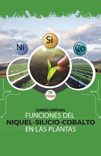 Curso Virtual Funciones del níquel, silicio y cobalto en las plantas