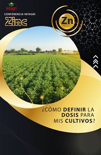 Cursos Virtual Intagri El Zinc como Micronutriente Esencial