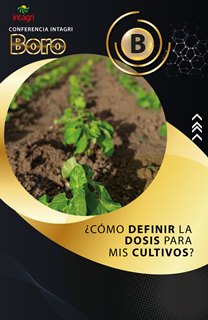 Cursos Virtual Intagri El Boro como Micronutriente Esencial