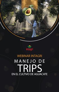 Webinar Virtual Manejo de Trips en el Cultivo de Aguacate