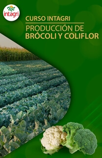 Curso Virtual Intagri Producción de Brocoli y Coliflor