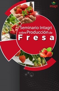 Seminario Virtual Intagri sobre Producción de Fresa