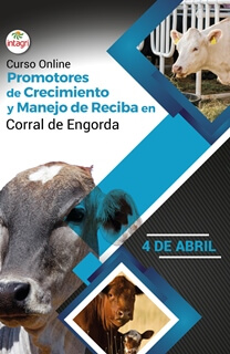 Curso Virtual Promotores de Crecimiento y Manejo de Reciba en Corral de Engorda