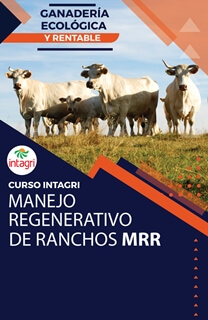 Curso Virtual: Ganadería Ecológica y Rentable; el Manejo Regenerativo de Ranchos (MRR)