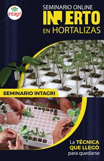 Seminario Virtual Intagri sobre Injerto de Hortalizas