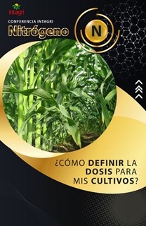 Curso Virtual Nitrógeno ¿Cómo definir la dosis para mis cultivos?