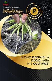 Curso Virtual Fósforo ¿Cómo definir la dosis para mis cultivos?