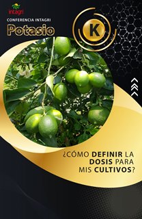 Curso Virtual Intagri: Potasio ¿Cómo definir la dosis para mis cultivos?